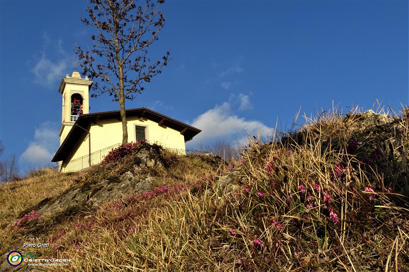 75 Fiori di erica per la Chiesetta dui S. Barnaba di Salmezza.JPG